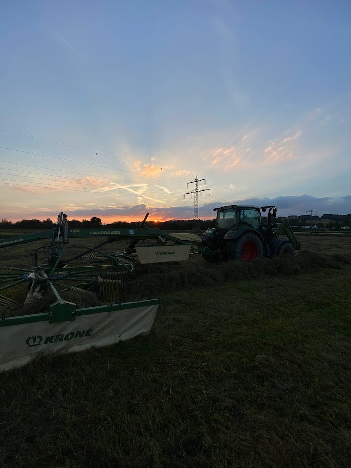 Fendt Traktor mit Krone Swadro Schwader bei Sonnenuntergang auf der Wiese